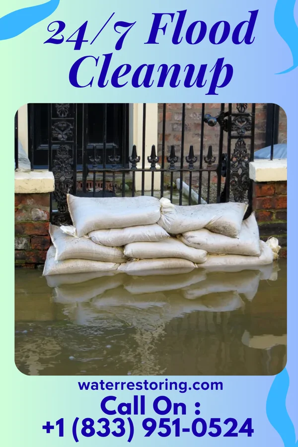 24/7 Flood Cleanup in Lockney, TX