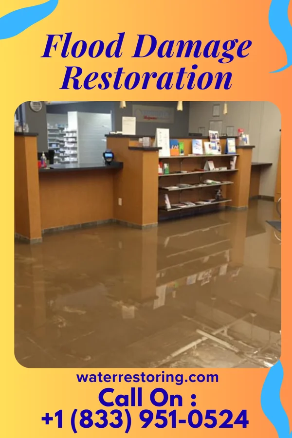 Flood Damage Restoration in Lockney, TX