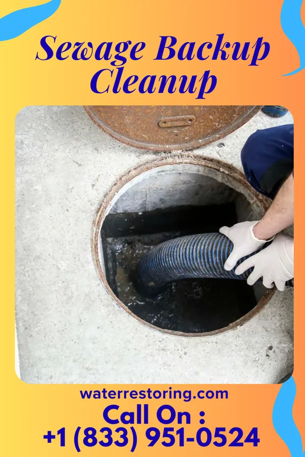 Sewage Backup Cleanup in Lockney, TX
